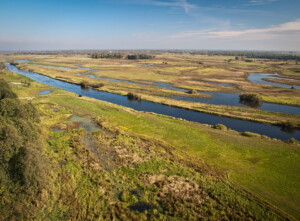 biebrza-rzeka-narew